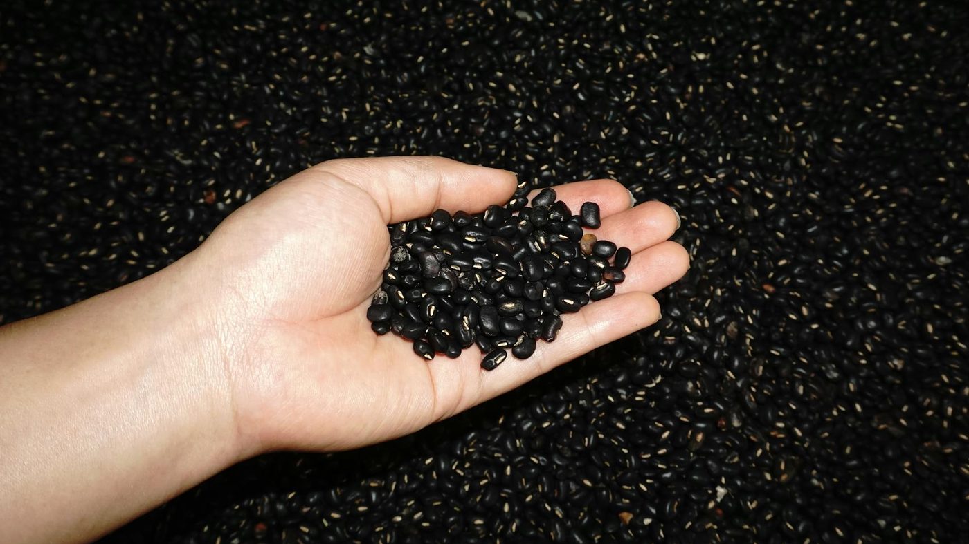 What to Make with Black Beans (quick meals)